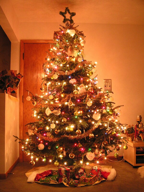 صور شجرة عيد الميلاد الكريسماس 2014