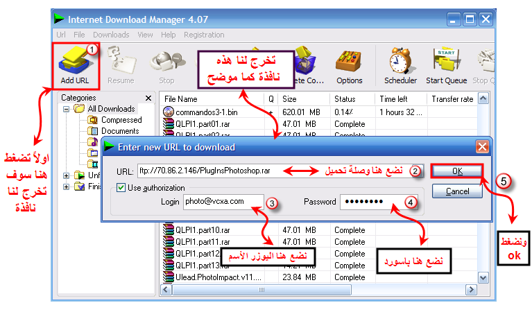   Internet Download Manager