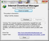 internet Download Manager 5.19 Build   