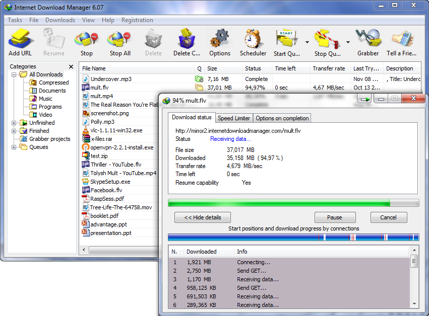 Internet Download Manager 6.04 build   