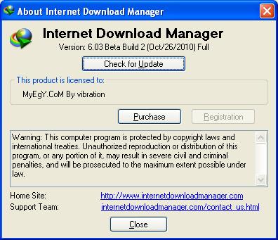 Internet Download Manager 6.03 Beta   