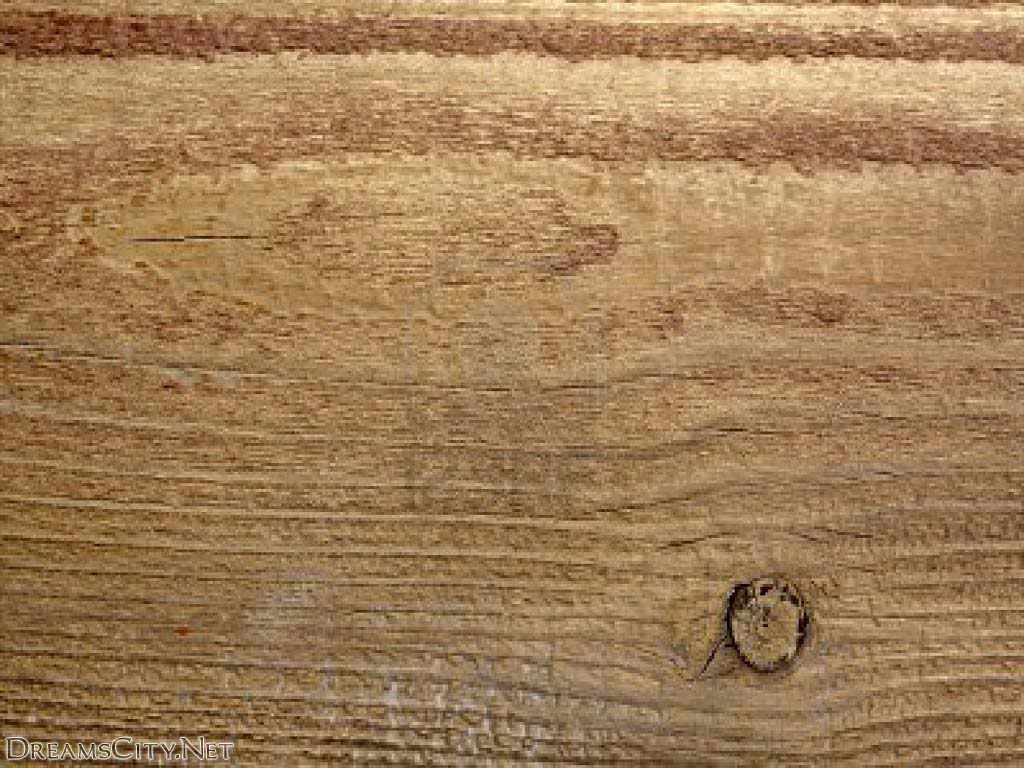      Wooden wallpaper