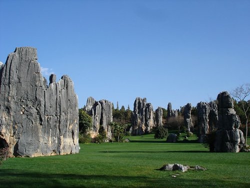     Stone Forest