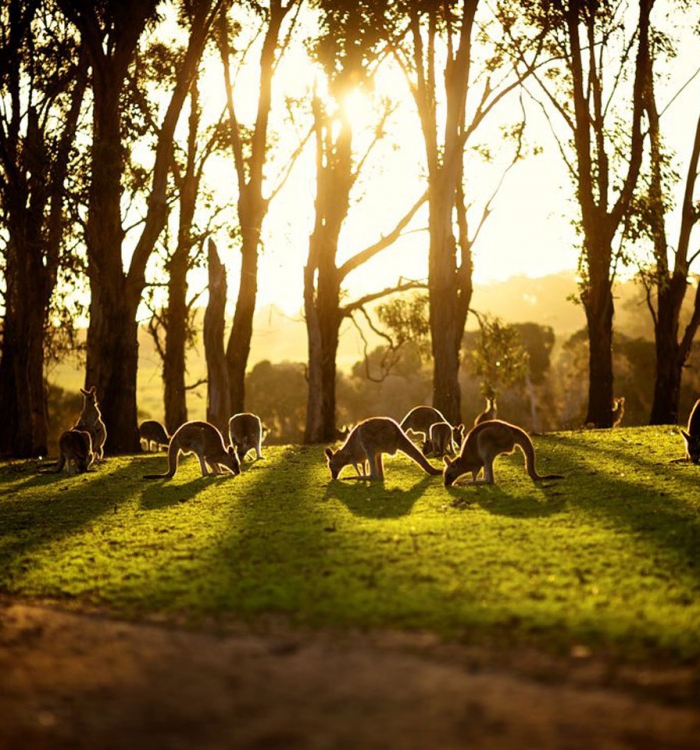 شاهد صور الطبيعة الرائعة في استراليا