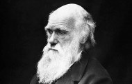 تشارلز داروين صاحب نظرية التطور Charles Darwin