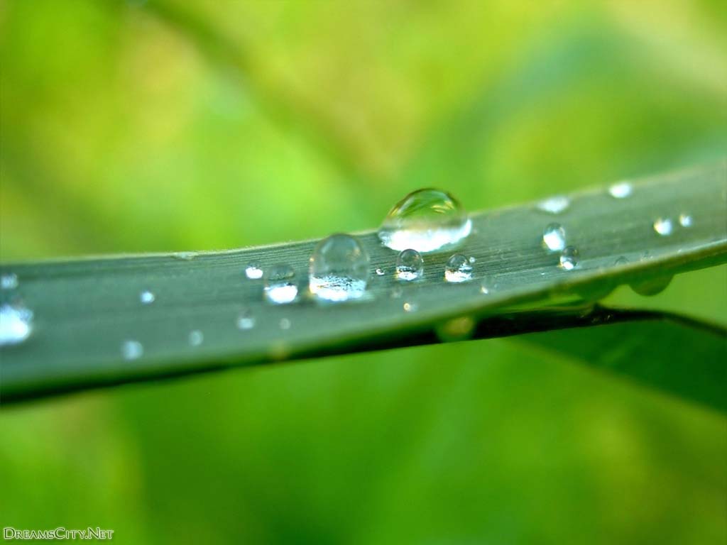 Water-drops09
