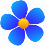 blue-flower-flora-nature-256