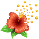 flowers icon red ‫(29601682)‬ ‫‬