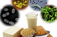 كيف تفرق بين التسمم الغذائي الميكروبي والغذائي الكيميائي