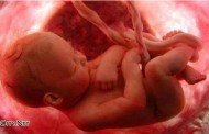 مراحل نمو و تطور الجنين خلال شهور الحمل